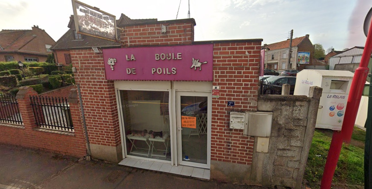 Photo de La Boule De Poils